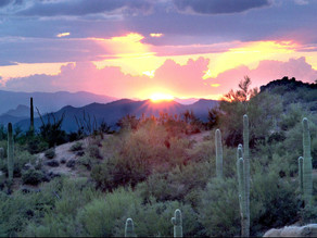 5 Free Things You Can Do in Phoenix