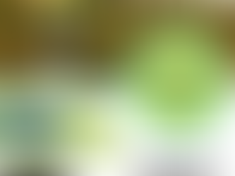 Story Stroll Grand Unveiling - April 30