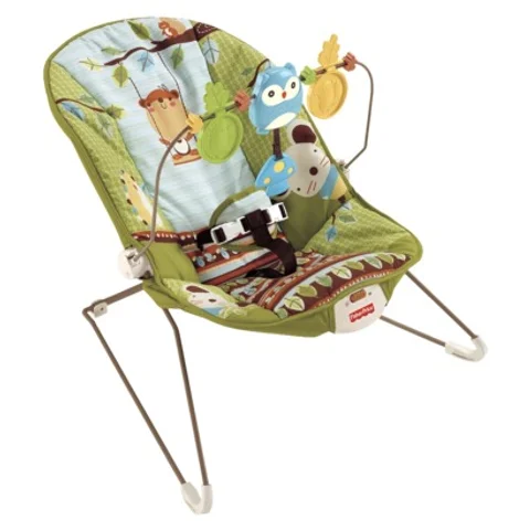fisher baby bouncer