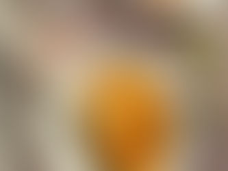 Κοτόπουλο με φινόκιο και πολύχρωμες πιπεριές