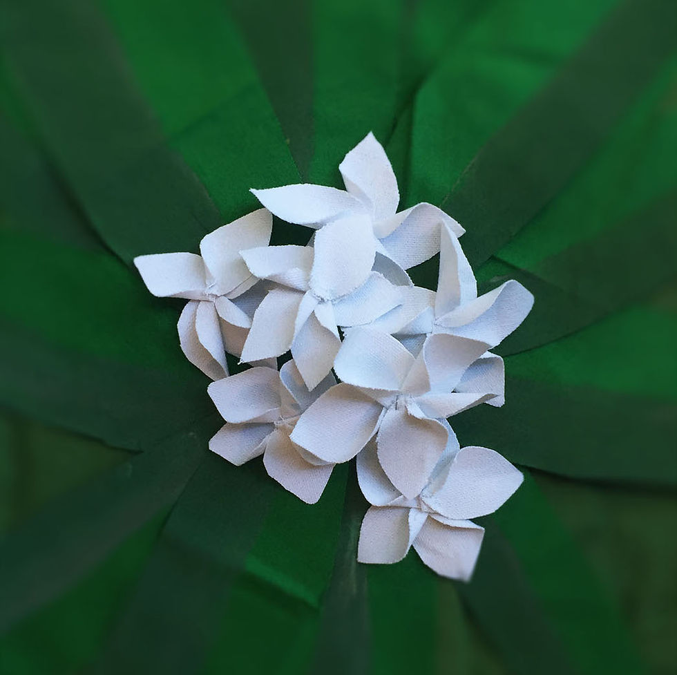 Recreating the Frangipani