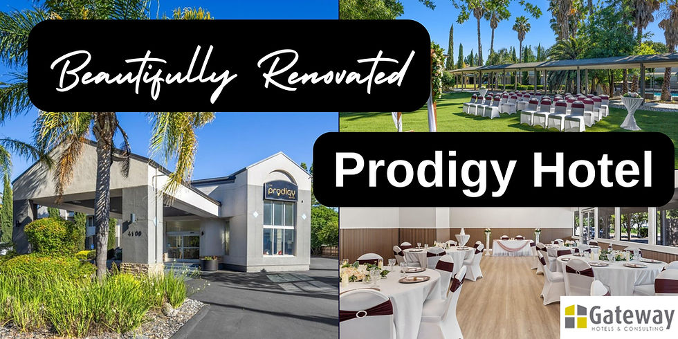 Why Davis is More Than Just UC Davis: A Local’s Guide for Travelers