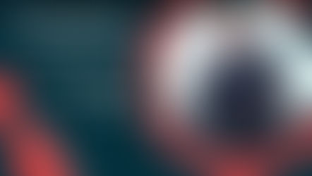 Chapter 2: The Paradoxes of Marketing to Connected Customers