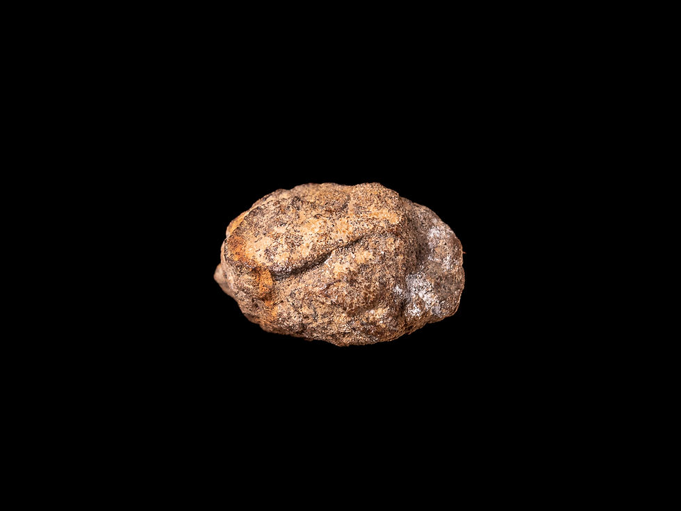 Thumbnail: Vista frontal fotografía producto meteorito condrita enstatita Al Haggounia 001 El-melt rock sobre fondo negro.