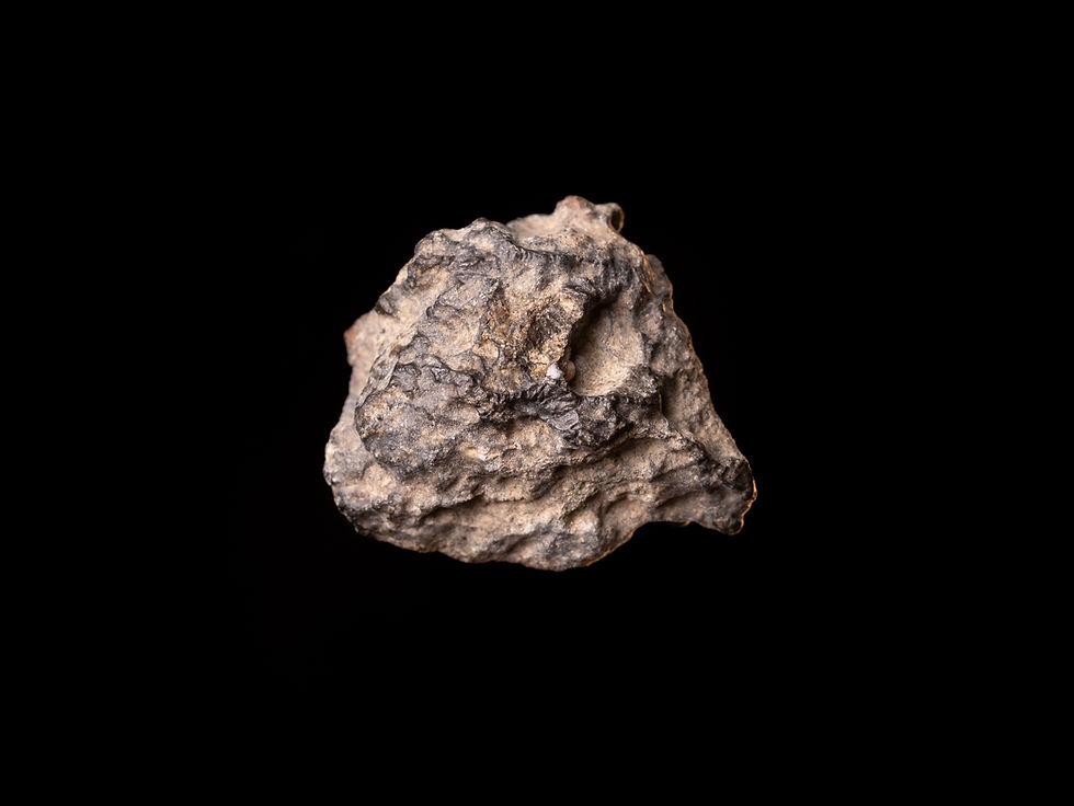 Meteorito NWA 16550 (LL6) 2,9g