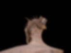 Thumbnail: Trilobite del devónico inferior Erbenochile erbeni