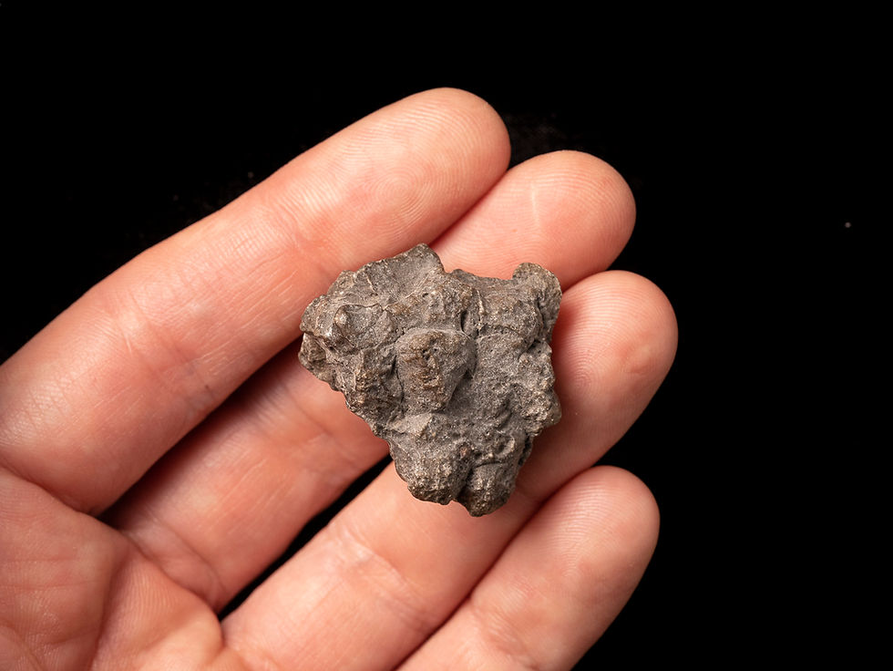 Miniatura: Imagen fotografía vista frontal meteorito eucrita Jikharra 001 procedente de Vesta sobre una mano