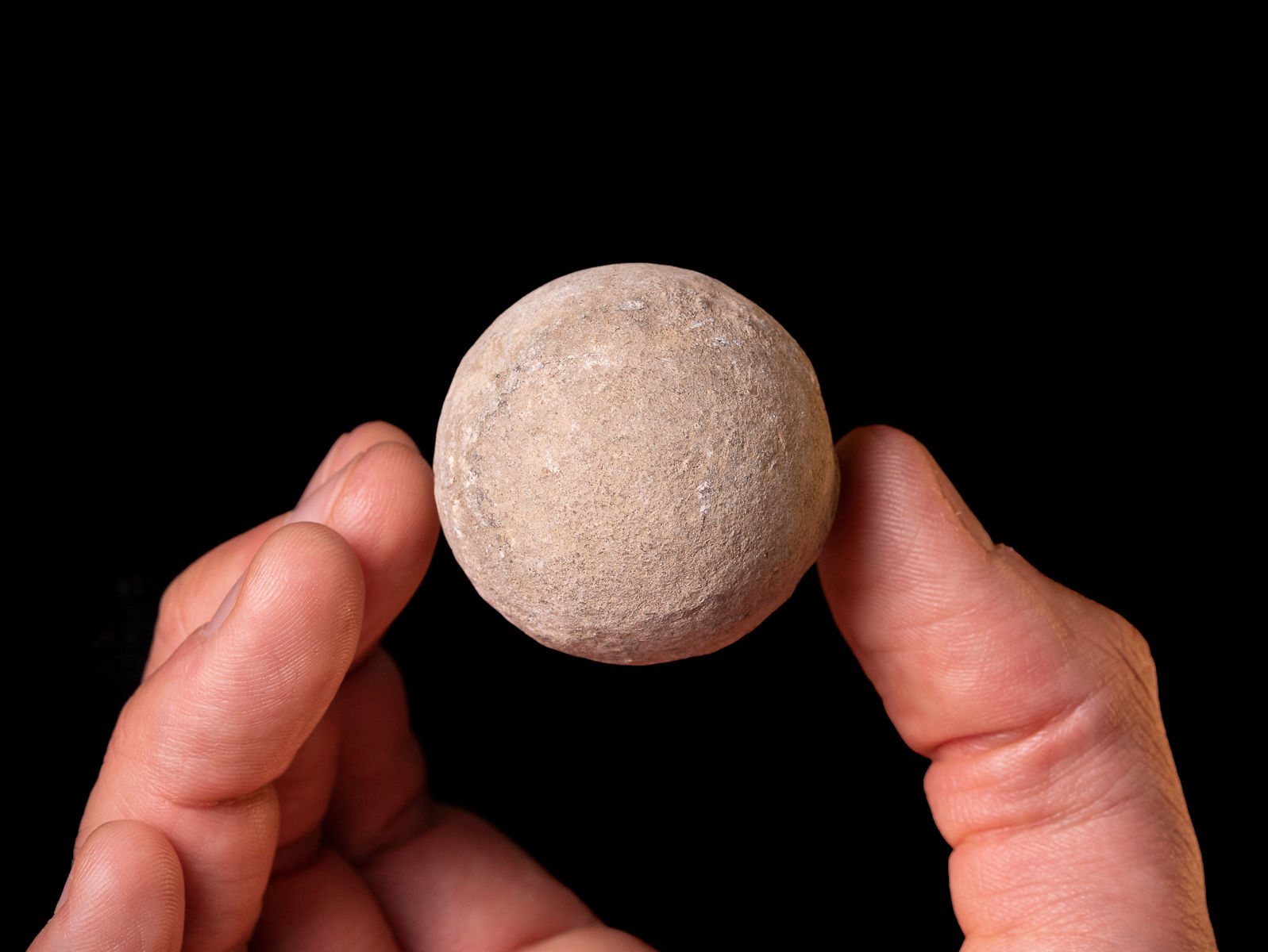 Huevo fósil Tortuga Marina (Linaje Pan-Chelonioidea) Cretácico Superior