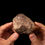 Miniatura: Imagen fotografía vista frontal auténtico meteorito rocoso tipo condrita ordinaria sobre unas manos sobre un fondo negro