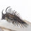 Miniatura: Trilobite Comura bultyncki