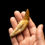 Thumbnail: Chrysocetus fouadassii (Basilosaurid)