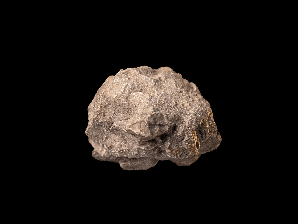 Thumbnail: Imagen fotografía vista frontal meteorito eucrita Jikharra 001 procedente de Vesta