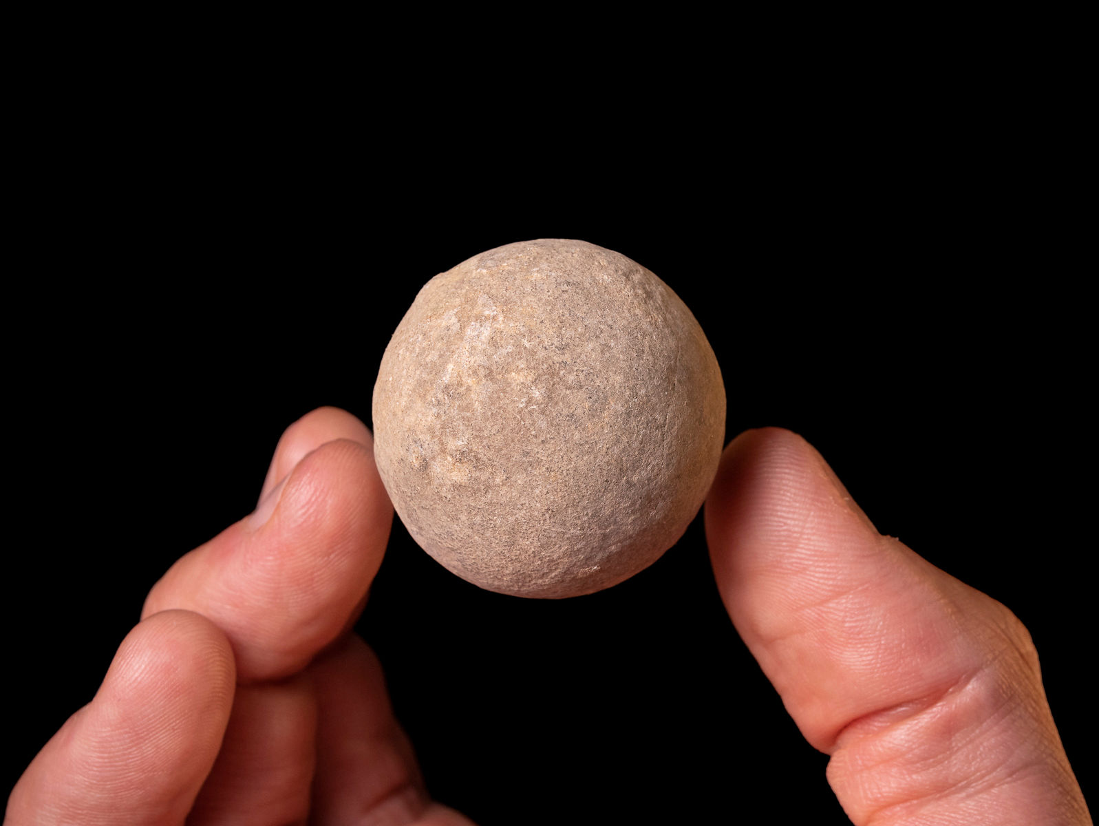 Huevo fósil Tortuga Marina (Linaje Pan-Chelonioidea) Cretácico Superior