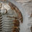 Thumbnail: Trilobite del cámbrico temprano Longianda termieri