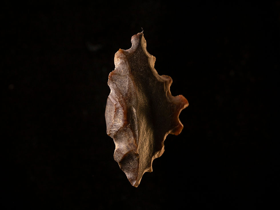 Thumbnail: Neolithic arrowhead