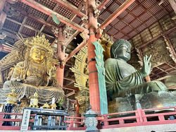 486369032_2356206608076390_2430341236787255595_n