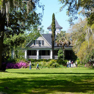 Charleston Plantations and gardens are picturesque