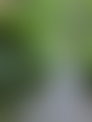 Trails at Hoyt Arboretum Only in Oregon