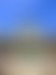 The Saint Louis Cathedral in NOLA