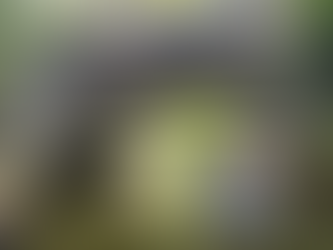 Fun paddling through the Chain of Lakes