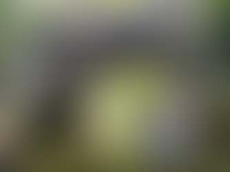 Fun paddling through the Chain of Lakes