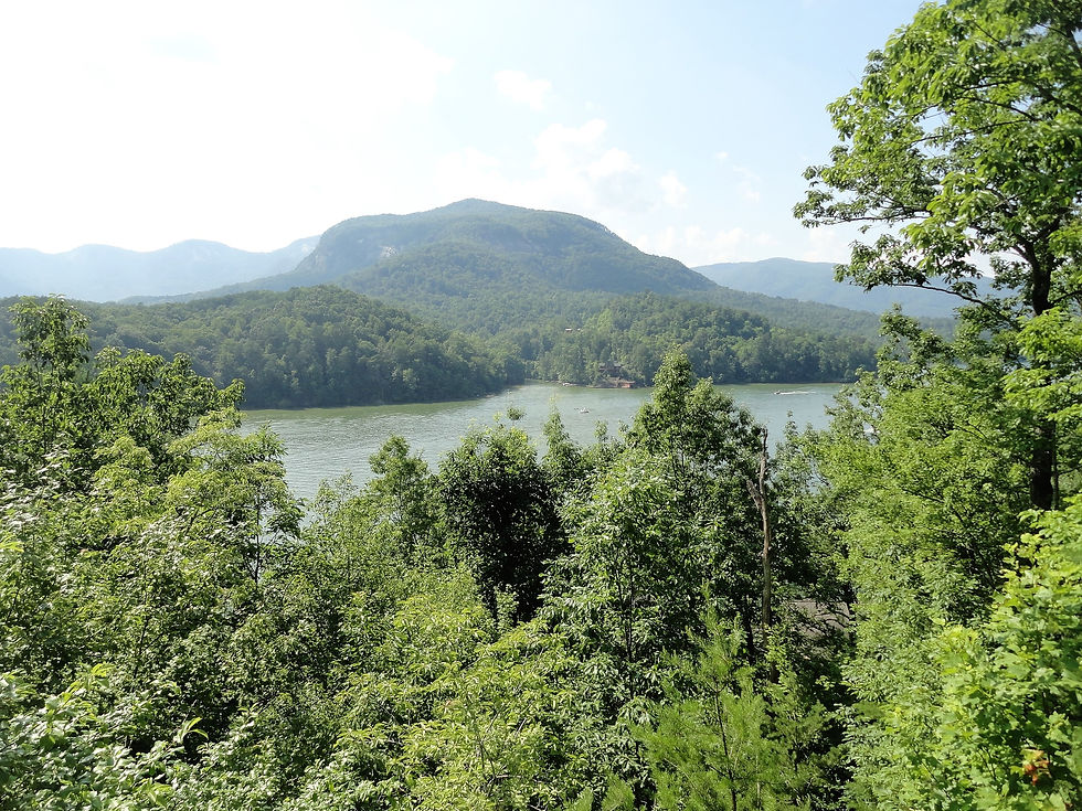 Lake Lure View