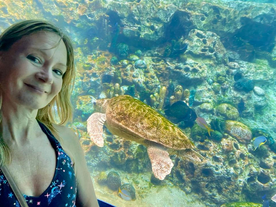 Sea turtle and I at SeaWorld