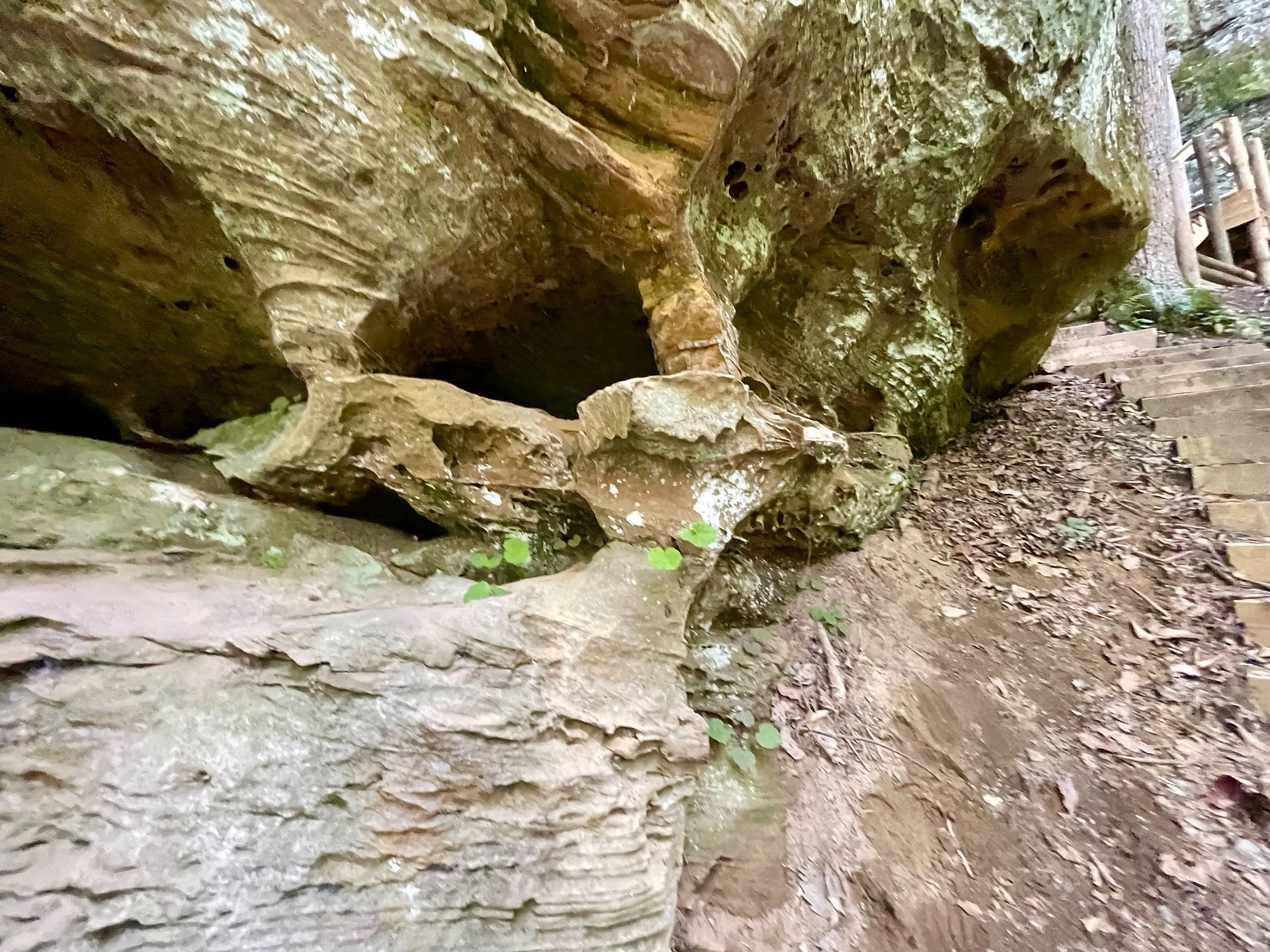 Natural Bridge State Park KY