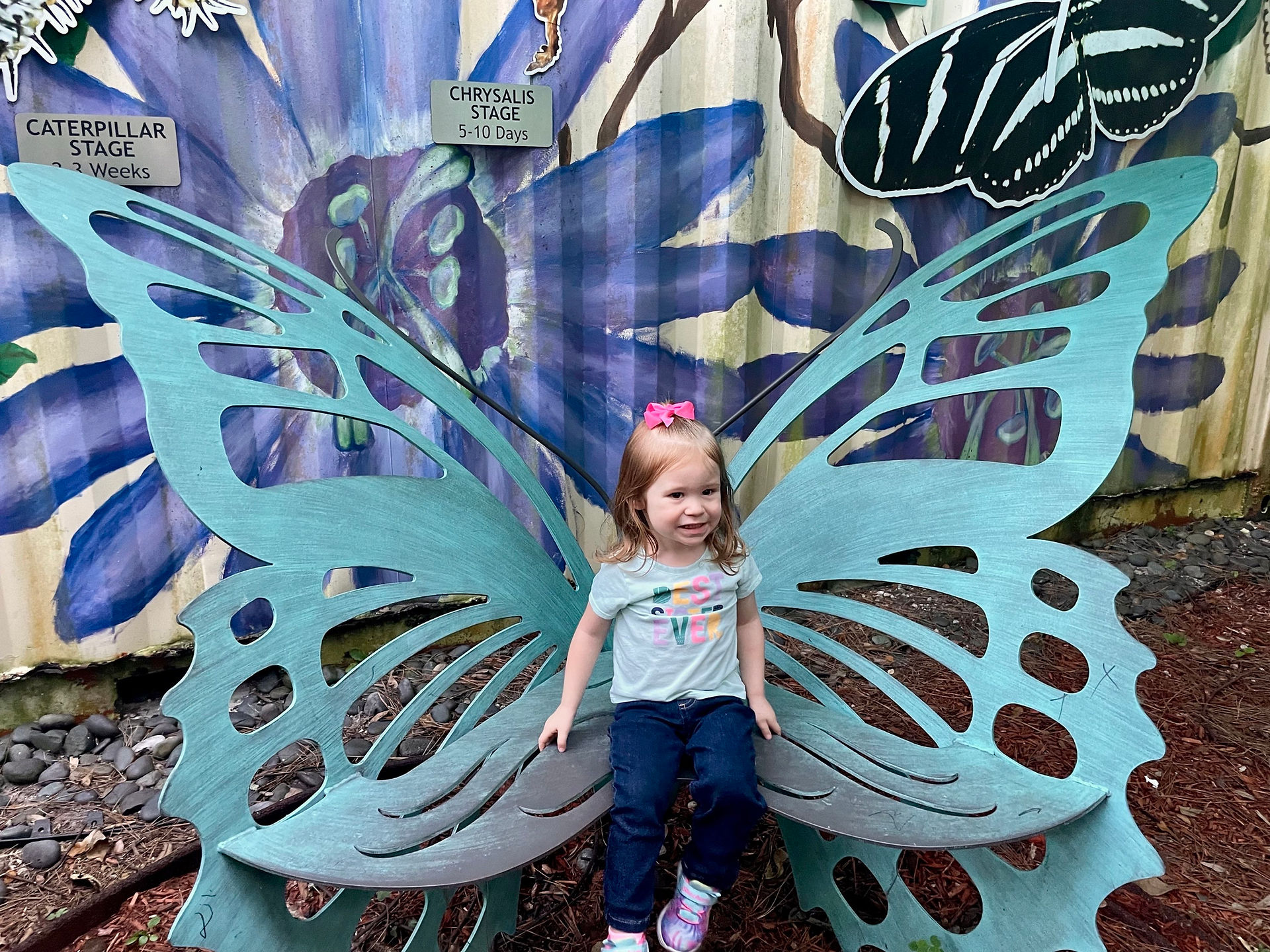 Two-year-old in butterfly seat Sugar Sands