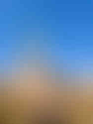 The SOL from liberty Island