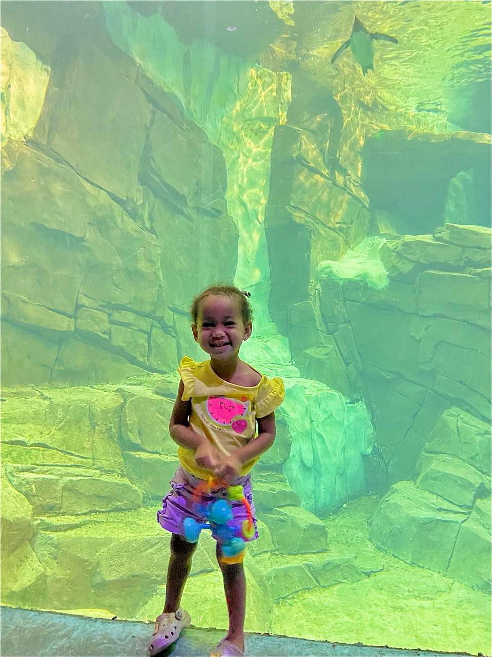 Loving these aquariums!
