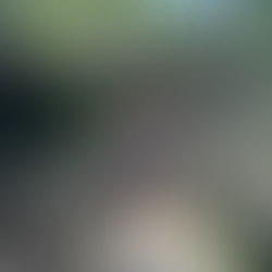 Lady plays with climbing bridges in the nature trek at the Bronx Zoo