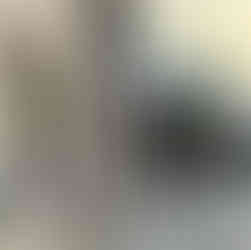 Walking Day Downtown Charleston