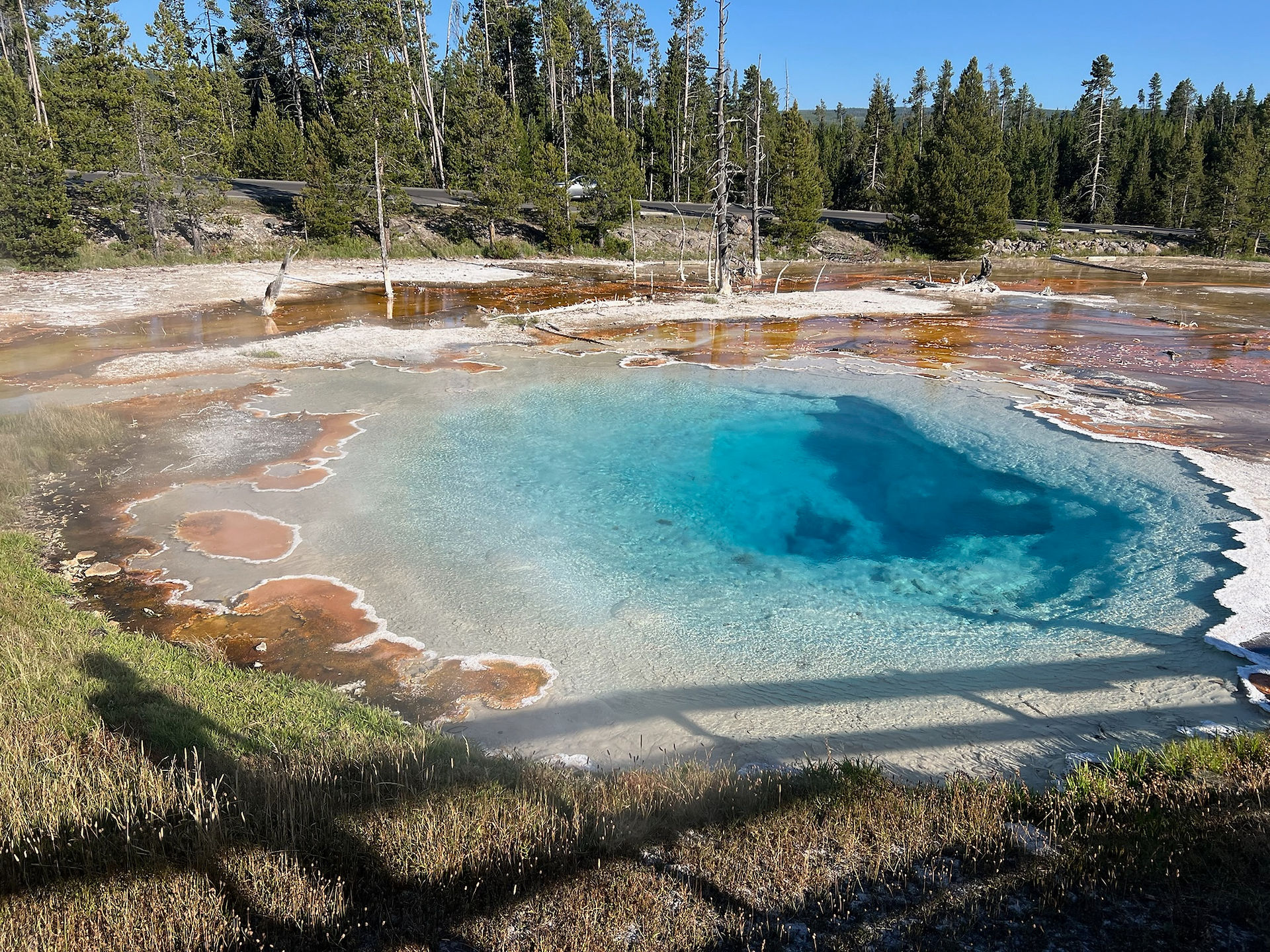 Springs at Yellowstone