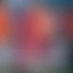 Pisa campeão do Campeonato Paulista FF7SP