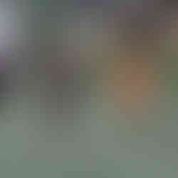 Pisa Recreativo 10x1 Realchidale