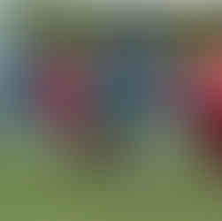 Pisa 0x2 Simentos | XXII Copa Amstel