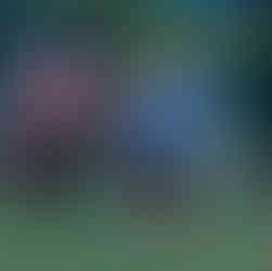 Pisa 5x4 Peso Pena | XXIII Copa Amstel