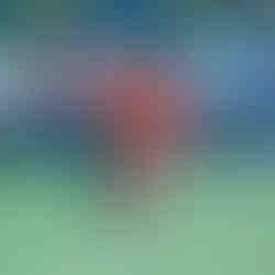 Pisa 3x0 Time da Alegria | XXIII Copa Amstel