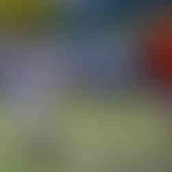 Pisa 5x8 Originais - VII Copa dos Campeões