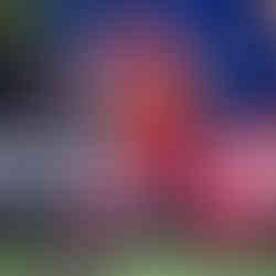 Pisa campeão do Campeonato Paulista FF7SP