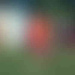 Pisa 7x3 Sentimentos | XXIII Copa Amstel