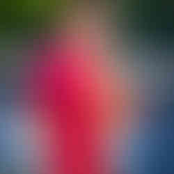 Pisa campeão do Campeonato Paulista FF7SP