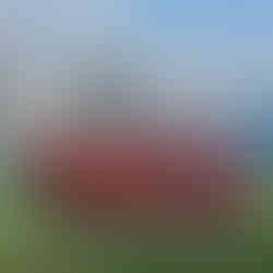 Pisa 1x0 1000 Gols | Oitavas de Final da XXV Copa Amstel