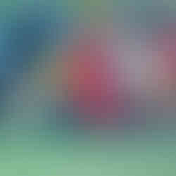 Pisa 3x0 Time da Alegria | XXIII Copa Amstel