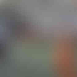 Pisa Recreativo 10x1 Realchidale