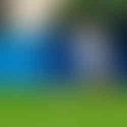 Confra Pisa 2022