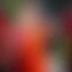 Pisa campeão do Campeonato Paulista FF7SP