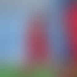 Pisa 8x0 Predadores | Campeonato Paulista FF7SP - Série D