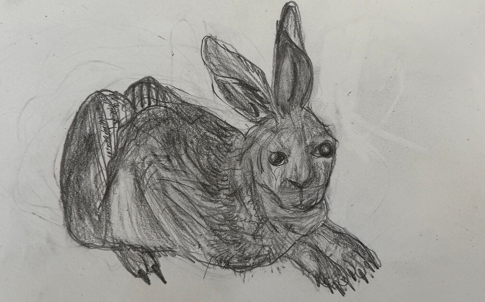Ziyou作品